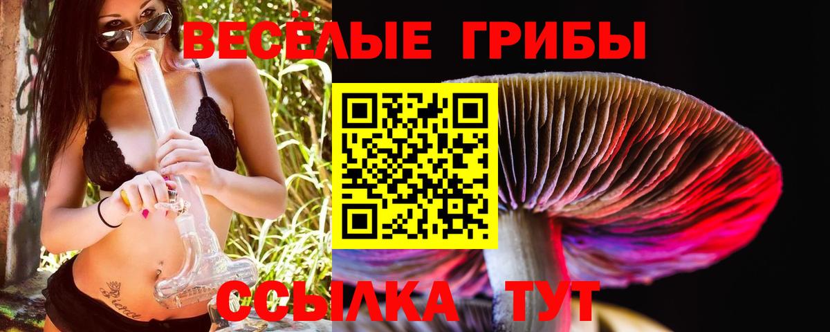 Галлюциногенные грибы Cubensis Октябрьский